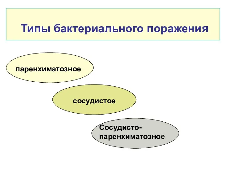 Типы бактериального поражения паренхиматозное сосудистое Сосудисто-паренхиматозное