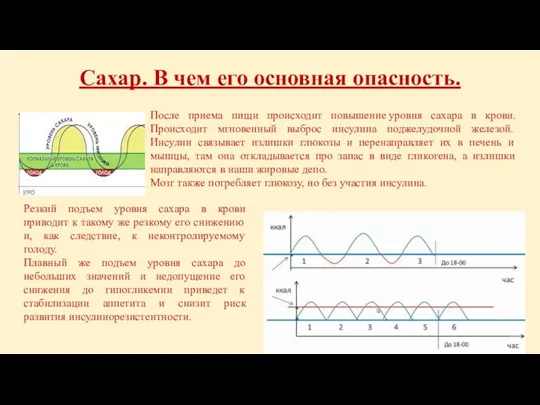 Сахар. В чем его основная опасность. Резкий подъем уровня сахара