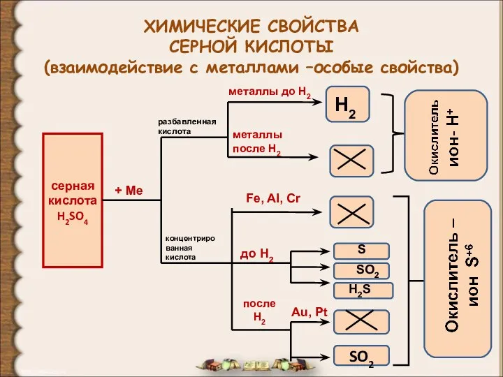 ХИМИЧЕСКИЕ СВОЙСТВА СЕРНОЙ КИСЛОТЫ (взаимодействие с металлами –особые свойства) серная