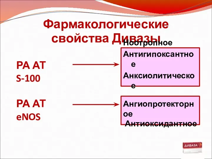 Фармакологические свойства Дивазы Ноотропное Антигипоксантное Анксиолитическое Ангиопротекторное Антиоксидантное РА АТ S-100 РА АТ eNOS