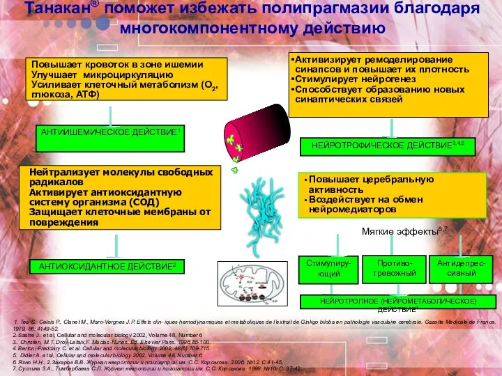 Повышает кровоток в зоне ишемии Улучшает микроциркуляцию Усиливает клеточный метаболизм