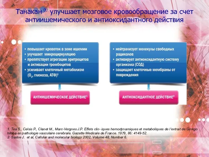 Танакан ® улучшает мозговое кровообращение за счет антиишемического и антиоксидантного