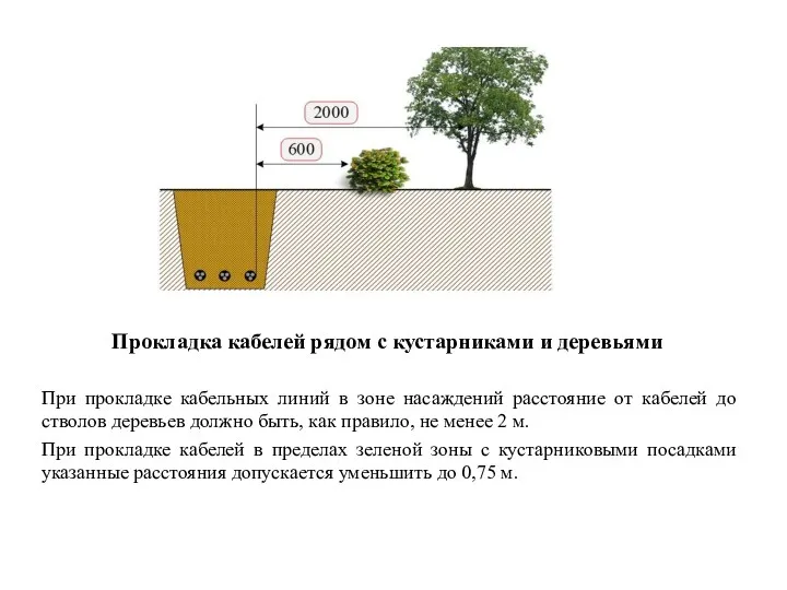 Прокладка кабелей рядом с кустарниками и деревьями При прокладке кабельных