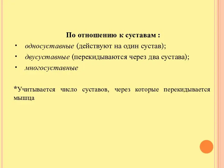 По отношению к суставам : • односуставные (действуют на один