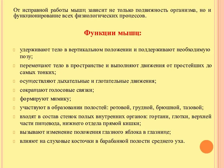 От исправной работы мышц зависит не только подвижность организма, но