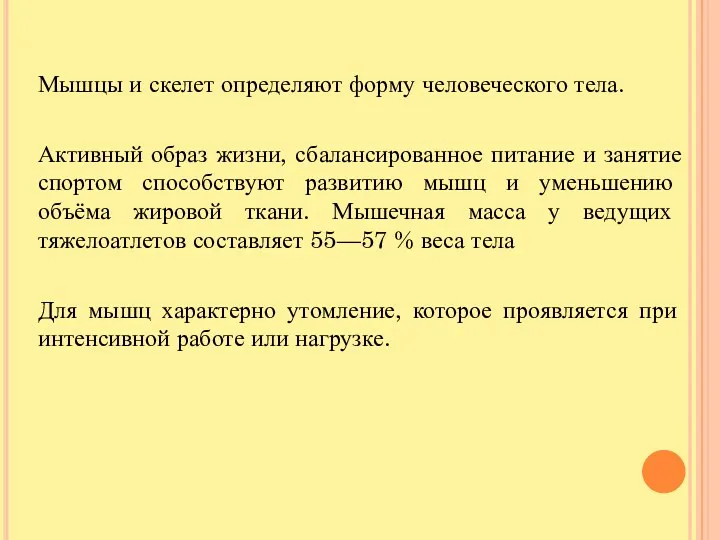 Мышцы и скелет определяют форму человеческого тела. Активный образ жизни,