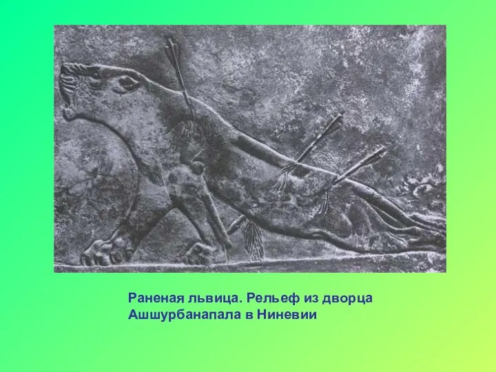 Раненая львица. Рельеф из дворца Ашшурбанапала в Ниневии