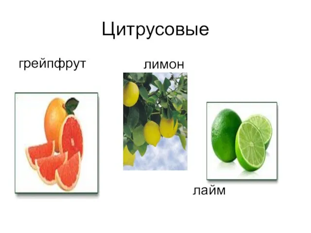 Цитрусовые грейпфрут лимон лайм