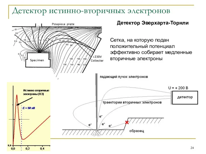 Детектор истинно-вторичных электронов Детектор Эверхарта-Торнли Сетка, на которую подан положительный потенциал эффективно собирает медленные вторичные электроны