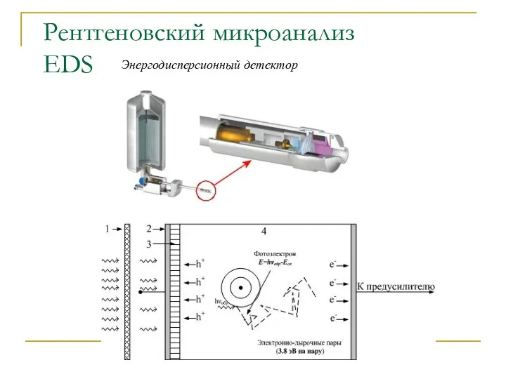 Рентгеновский микроанализ EDS Энергодисперсионный детектор