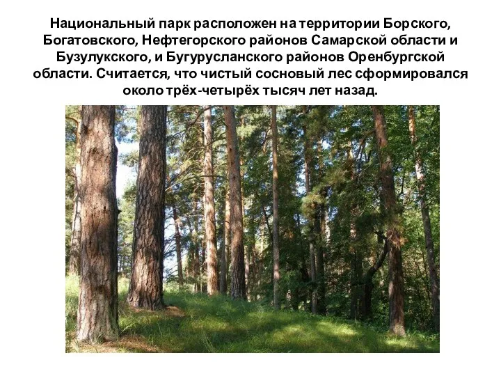 Национальный парк расположен на территории Борского, Богатовского, Нефтегорского районов Самарской