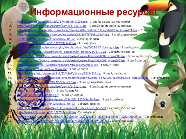 Информационные ресурсы http://s016.radikal.ru/i335/1102/67/46d438f47103.png - 1 слайд рамка с животными http://www.otoys.ru/picturesNew/bomik/b_911_1.jpg