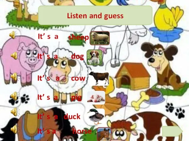 Listen and guess It’ s a sheep It’ s a