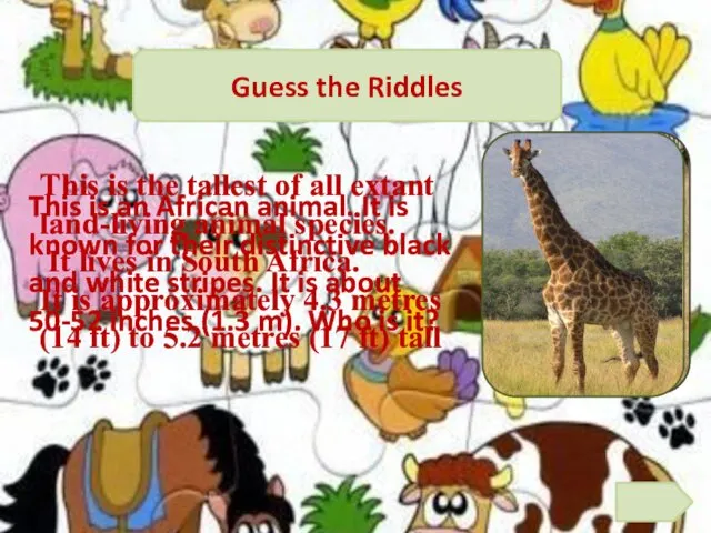 Guess the Riddles This is an African animal. It is