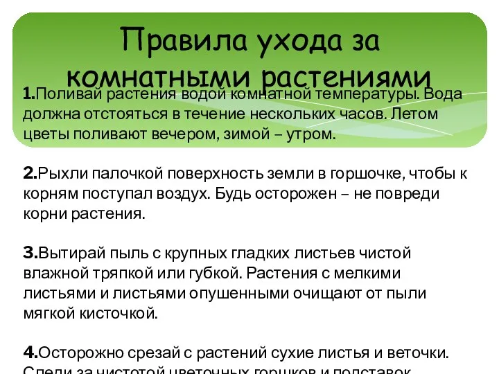 Правила ухода за комнатными растениями 1.Поливай растения водой комнатной температуры.