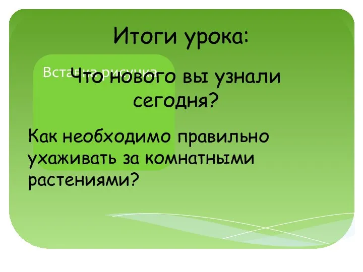 Что нового вы узнали сегодня? Итоги урока: Как необходимо правильно ухаживать за комнатными растениями?