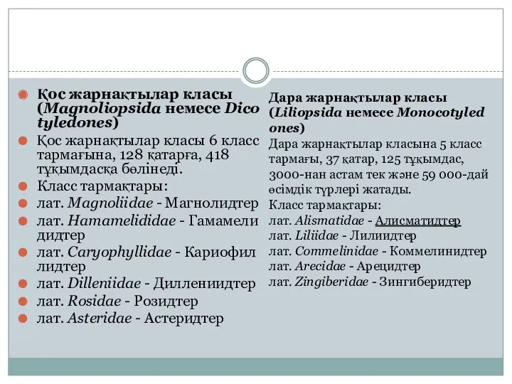 Қос жарнақтылар класы (Magnoliopsida немесе Dicotyledones) Қос жарнақтылар класы 6 класс тармағына, 128