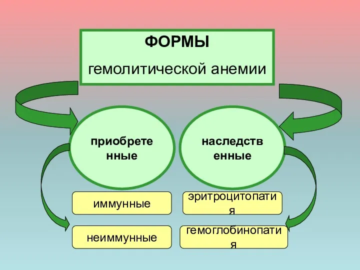 ФОРМЫ гемолитической анемии приобретенные наследственные иммунные неиммунные эритроцитопатия гемоглобинопатия