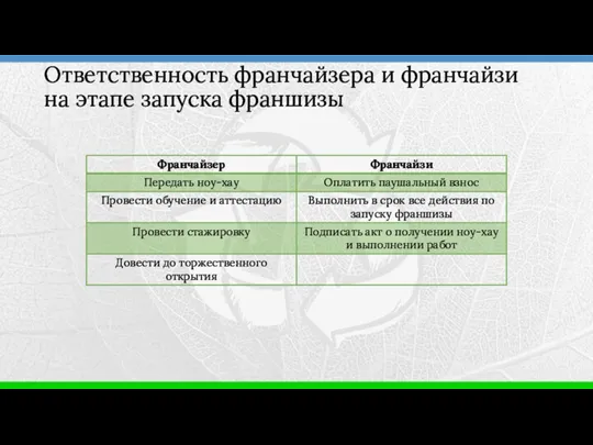 Ответственность франчайзера и франчайзи на этапе запуска франшизы