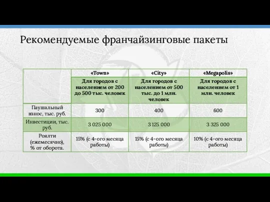 Рекомендуемые франчайзинговые пакеты