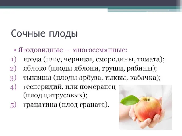 Сочные плоды Ягодовидные — многосемянные: ягода (плод черники, смородины, томата); яблоко (плоды яблони,