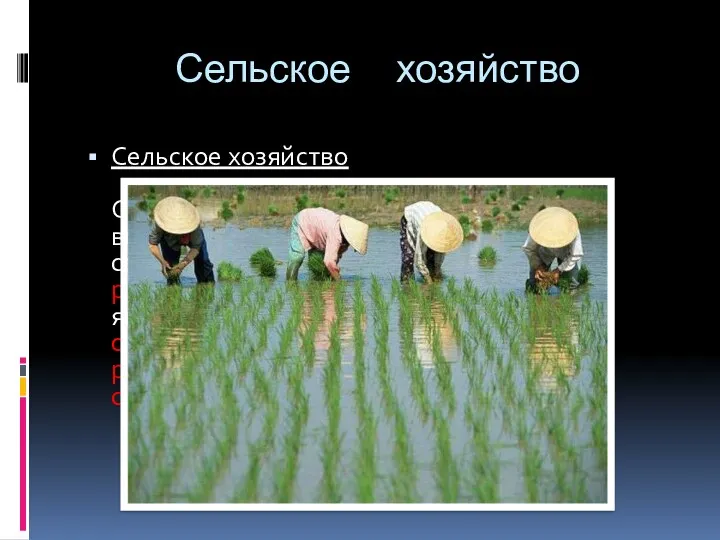 Сельское хозяйство Сельское хозяйство Сельское хозяйство Японии отличается высокой интенсивностью.