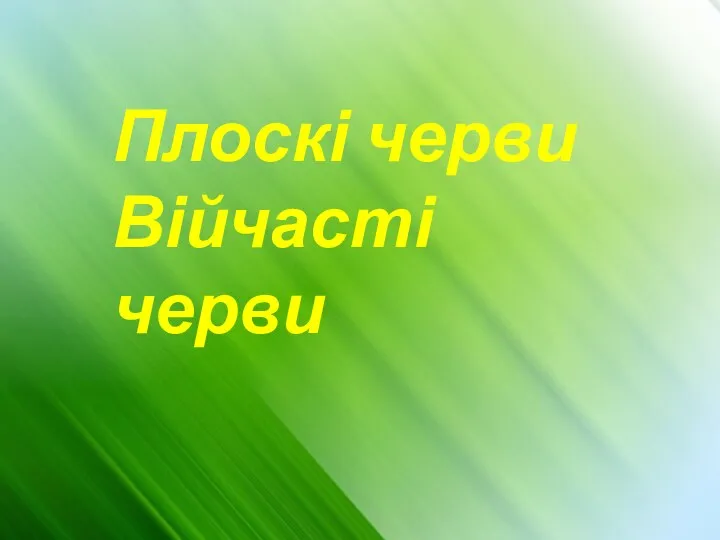 Плоскі черви Війчасті черви