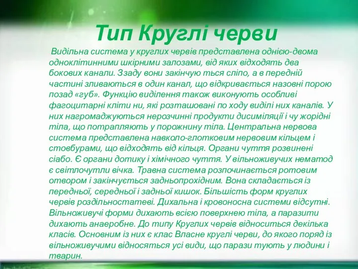 Тип Круглі черви Видільна система у круглих червів представлена однією-двома