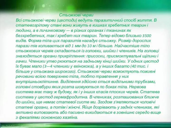 Стьожкові черви Всі стьожкові черви (цестоди) ведуть паразитичний спосіб життя.