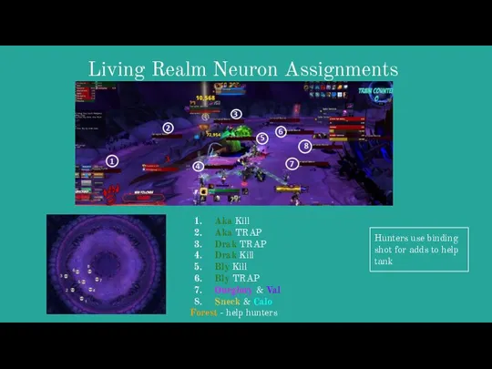 Living Realm Neuron Assignments Aka Kill Aka TRAP Drak TRAP