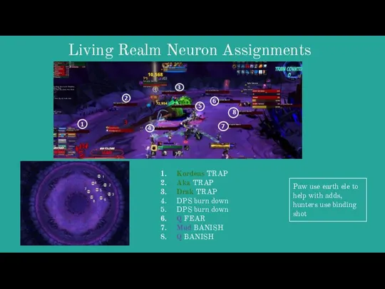 Living Realm Neuron Assignments Kordeus TRAP Aka TRAP Drak TRAP