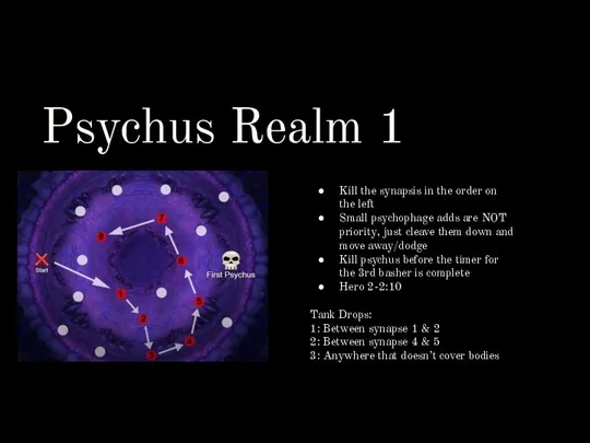 Psychus Realm 1 Kill the synapsis in the order on