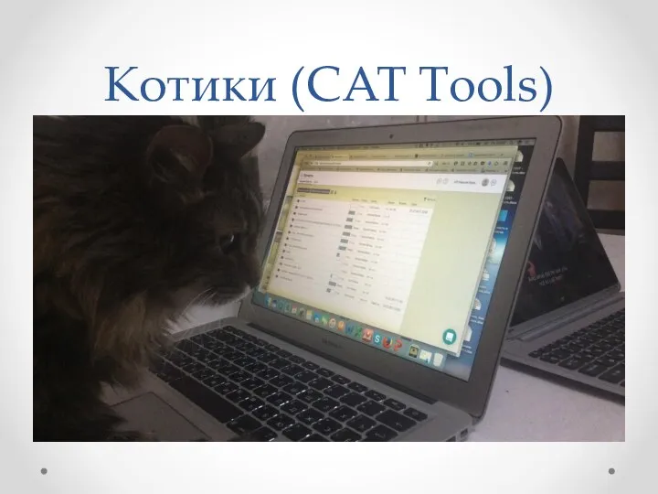 Котики (CAT Tools)