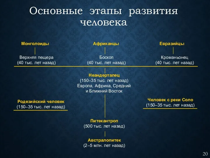 Основные этапы развития человека Монголоиды Африканцы Евразийцы Верхняя пещера (40