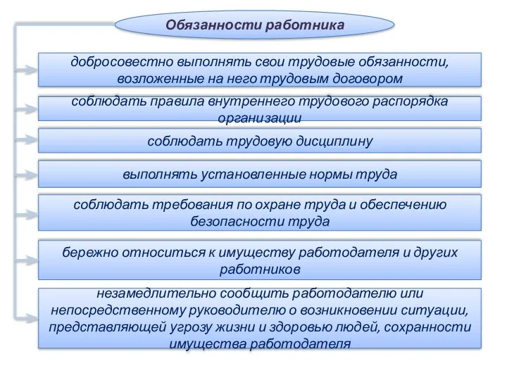 Обязанности работника добросовестно выполнять свои трудовые обязанности, возложенные на него