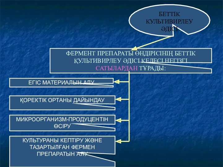 БЕТТІК КУЛЬТИВИРЛЕУ ӘДІСІ ЕГІС МАТЕРИАЛЫН АЛУ ФЕРМЕНТ ПРЕПАРАТЫ ӨНДІРІСІНІҢ БЕТТІК