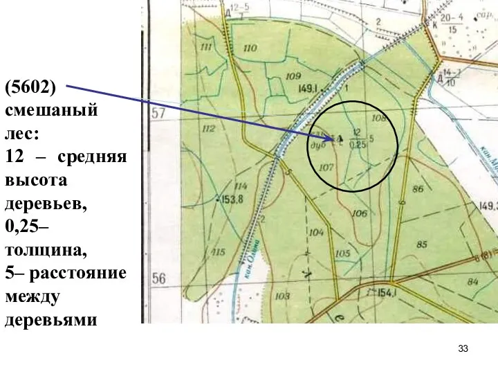 (5602) смешаный лес: 12 – средняя высота деревьев, 0,25– толщина, 5– расстояние между деревьями