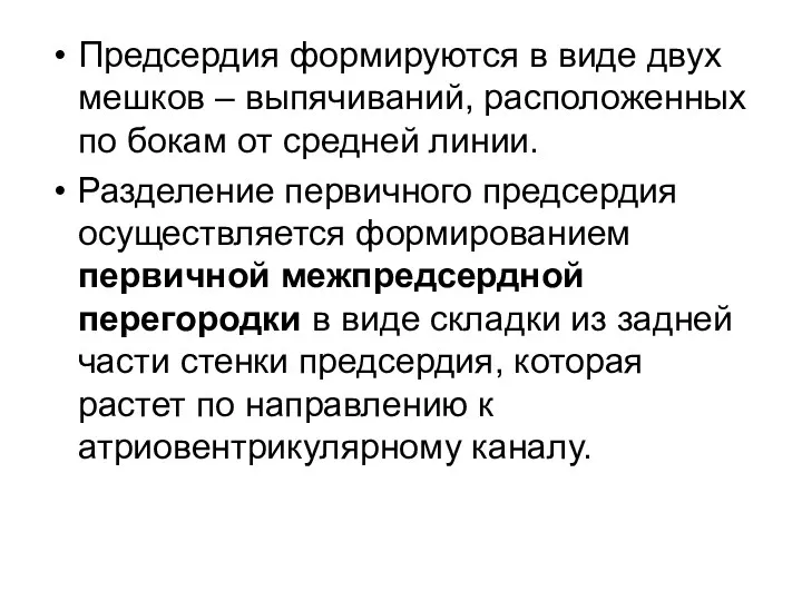 Предсердия формируются в виде двух мешков – выпячиваний, расположенных по