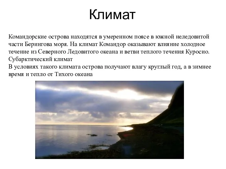 Климат Командорские острова находятся в умеренном поясе в южной неледовитой