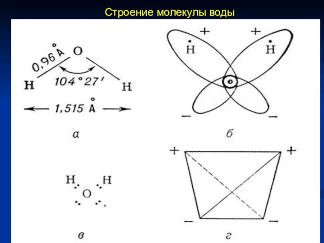 Строение молекулы воды