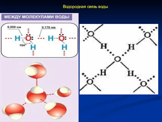 Водородная связь воды