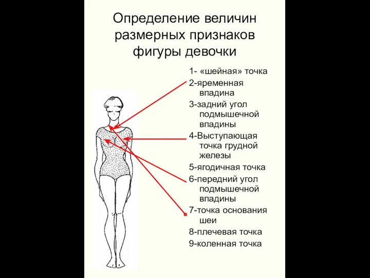 Определение величин размерных признаков фигуры девочки 1- «шейная» точка 2-яременная