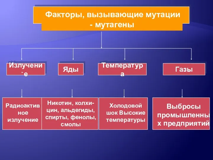 Факторы, вызывающие мутации - мутагены Излучение Яды Температура Газы Радиоактивное