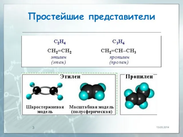 Простейшие представители 13.05.2014