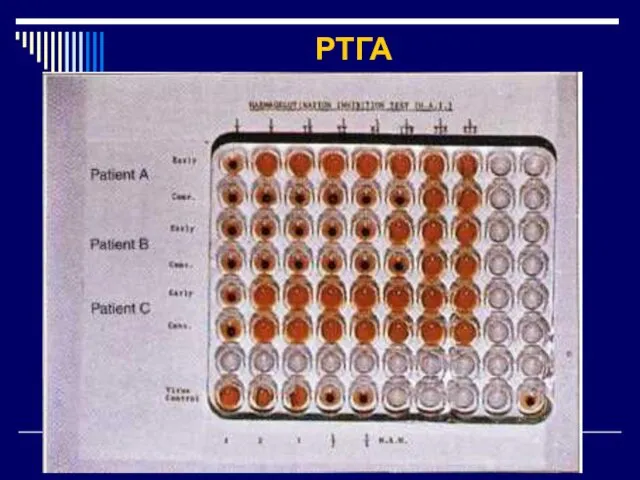 РТГА