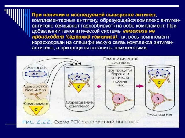 При наличии в исследуемой сыворотке антител, комплементарных антигену, образующийся комплекс