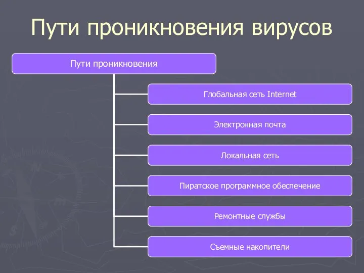 Пути проникновения вирусов