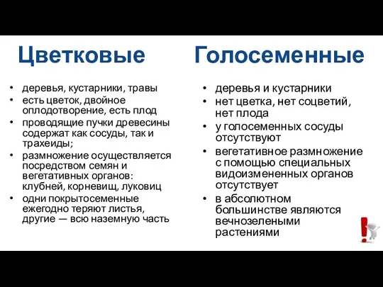 Цветковые Голосеменные деревья, кустарники, травы есть цветок, двойное оплодотворение, есть