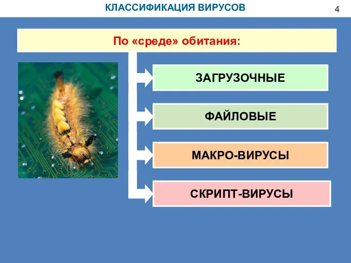 КЛАССИФИКАЦИЯ ВИРУСОВ По «среде» обитания: ЗАГРУЗОЧНЫЕ ФАЙЛОВЫЕ МАКРО-ВИРУСЫ СКРИПТ-ВИРУСЫ