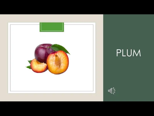 PLUM